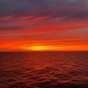 Meet your Posher, Claire